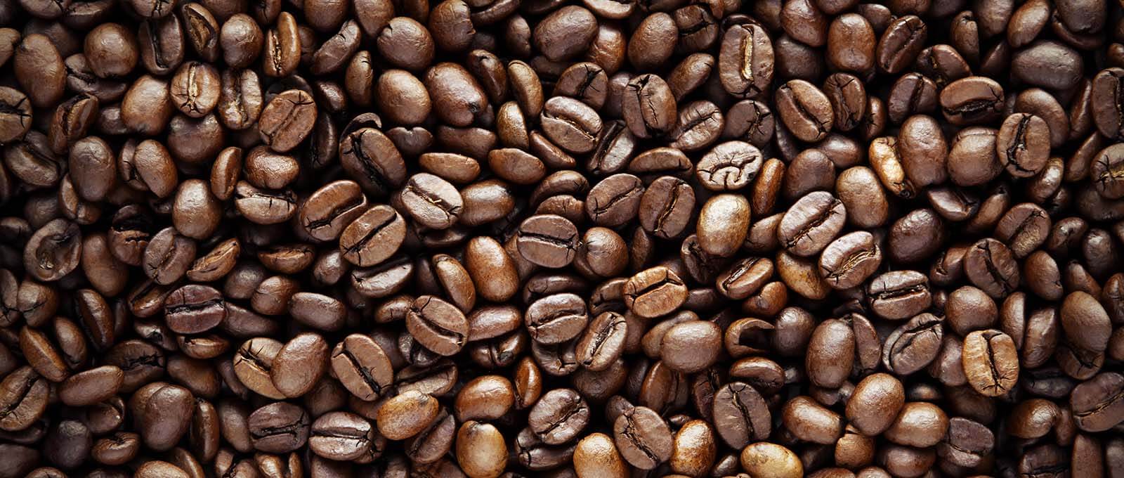 Sustainability Consultancy UK Terrafiniti.com - Image of Coffee beans