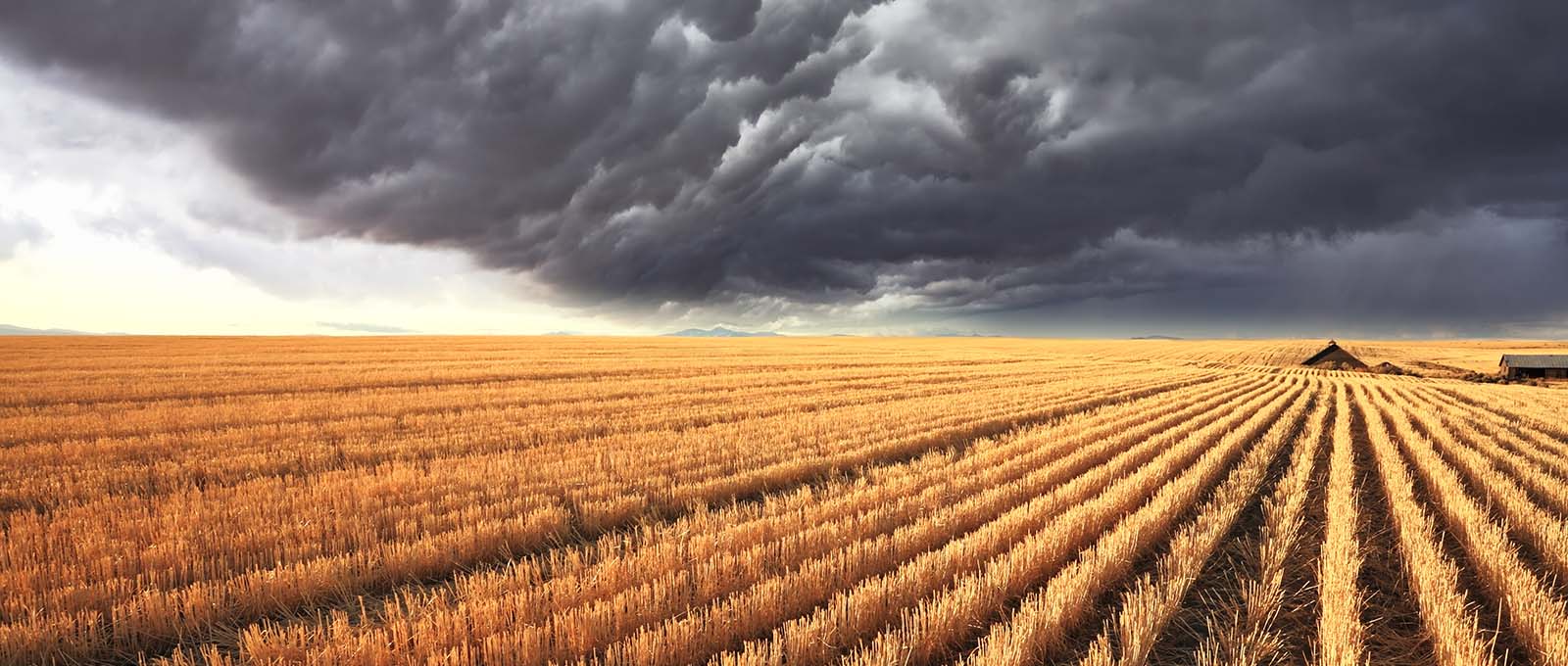 Sustainability Consultancy London - Storm Clouds over Harvest Montana