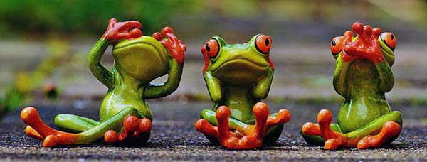 3-frogs-don't-look-don't-hear-don't-see-sustainability-trends