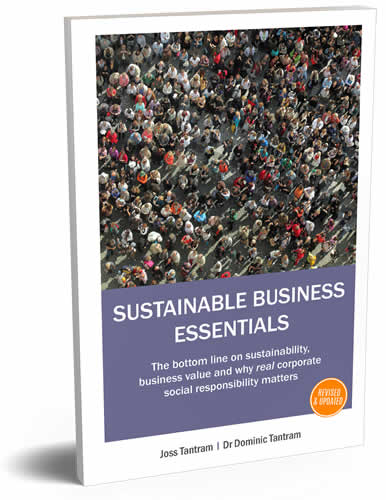 Sustainable Business Essentials - 3D rendered image of book cover