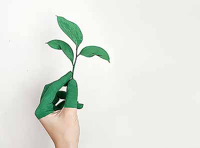 Greenwash Greenwashing