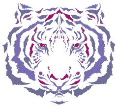 Sustainability Professionals Resilience Group - Riding the Tiger