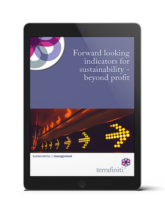 Forward looking indicators for sustainability - looking beyond profit