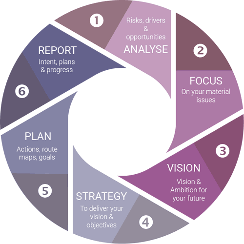 Sustainability strategy and sustainable business services - wheel diagram for 6 steps: Analyse, Focus, Vision, Strategy, Plan, Report