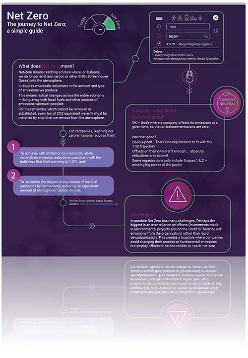 Net-Zero-Carbon-infographic-Terrafiniti