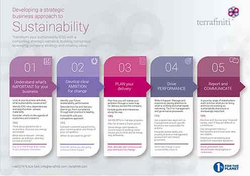 DEVELOP your sustainable business approach. Free sustainability & ESG guidance. Image of a 5 step info graphic for sustainable best practice