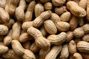 peanuts-Intersnack-product-photo-of-peanuts-in-shells