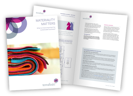 Materiality-Matters-Terrafiniti Free business guide