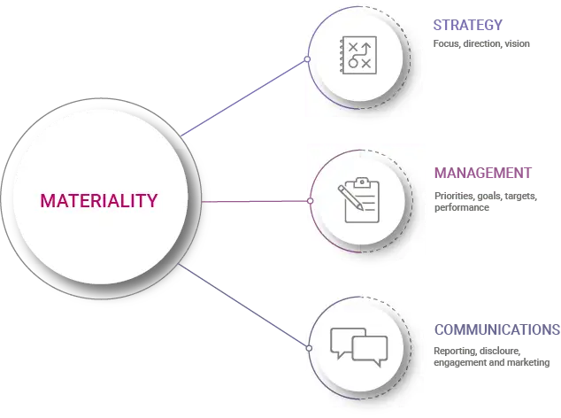 Double materiality supports strategy, management and communications - image showing simple sphere model